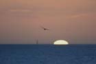 Soleil_060122_LT_032
