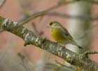 Verdier_060212_Saclay_11