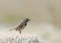 060624_Gorge_Bleue_39