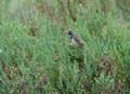 060624_Gorge_bleue_12