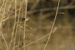 070104_Lisbonne_08