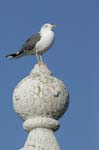 070104_Lisbonne_24
