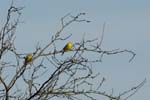 070304_Saclay_Rigole_40