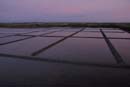 071227_LT_Les_marais_au_coucher_187