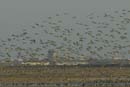 071229_LT_Barges_en_vol_067