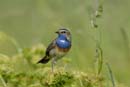 080518_LT_GorgeBleue_200