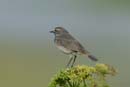080518_LT_GorgeBleue_226