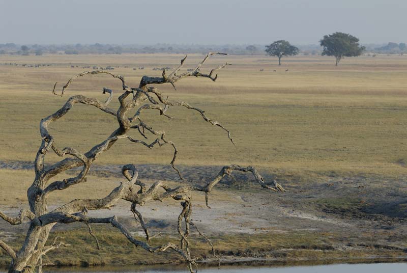 4180_Botswana_Chobe_Chobe_river