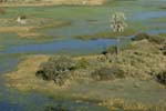 0092_Botswana_Maun_Okavongo