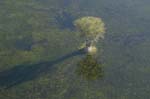 0147_Botswana_Maun_Okavongo
