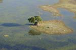 0150_Botswana_Maun_Okavongo