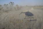 0227_Botswana_Maun_Okavongo