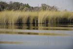 0574_Botswana_Xakanaxa_Okavongo