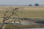 4180_Botswana_Chobe_Chobe_river