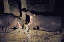 2060_Botswana_Khwai_Hippopotames