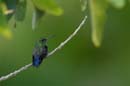 2505_CostaRica_Monteverde_