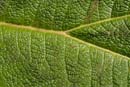 0068_CostaRica_Volcan_POAS_