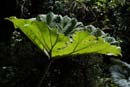0072_CostaRica_Volcan_POAS_