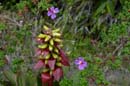 0100_CostaRica_Volcan_POAS_