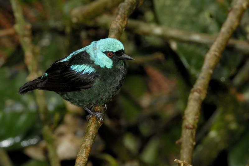 0293_CostaRica_La_Paz_