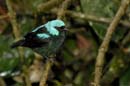 0293_CostaRica_La_Paz_