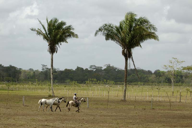 0732_CostaRica_Cano_Negro_