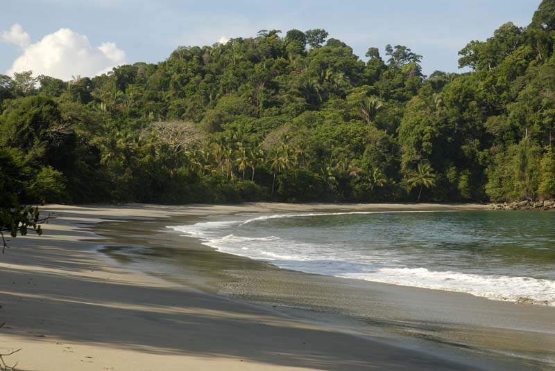 2921_CostaRica_Parc_Manuel_Antonio_