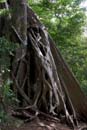 1474_CostaRica_Rincon_de_la_Viejas_
