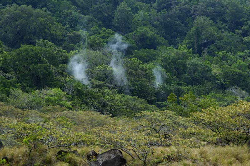 1489_CostaRica_Rincon_de_la_Viejas_