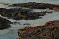 06_1820_GALAPAGOS_ISABELA_FERNANDINA