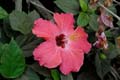 17_4080_GALAPAGOS_SANTA_CRUZ