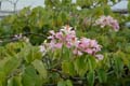 18_4081_GALAPAGOS_SANTA_CRUZ