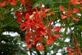 19_4083_GALAPAGOS_SANTA_CRUZ