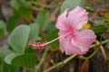 20_4085_GALAPAGOS_SANTA_CRUZ