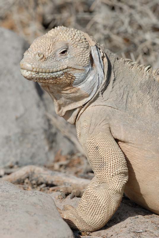 17_3238_GALAPAGOS_SANTA_FE