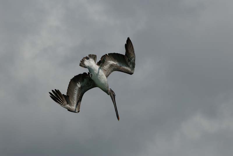 04_3449_GALAPAGOS_SANTA_FE
