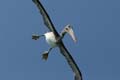 03_3490_GALAPAGOS_SANTA_FE