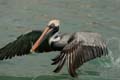 16_3419_GALAPAGOS_SANTA_FE
