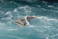19_3813_GALAPAGOS_PLAZA_SUD