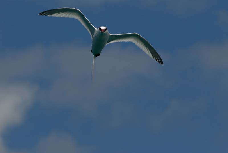 2646_GALAPAGOS_FLOREANA