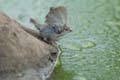 4148_GALAPAGOS_SANTA_CRUZ