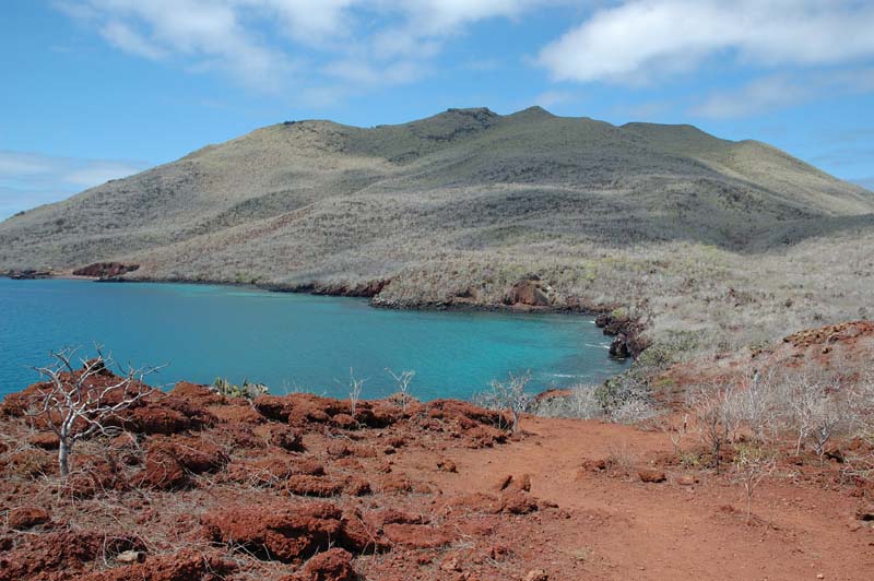 1291_GALAPAGOS_SANTIAGO_RABIDA