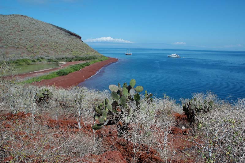 1301_GALAPAGOS_SANTIAGO_RABIDA