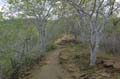 1863_GALAPAGOS_ISABELA