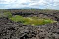 2249_GALAPAGOS_ISABELA